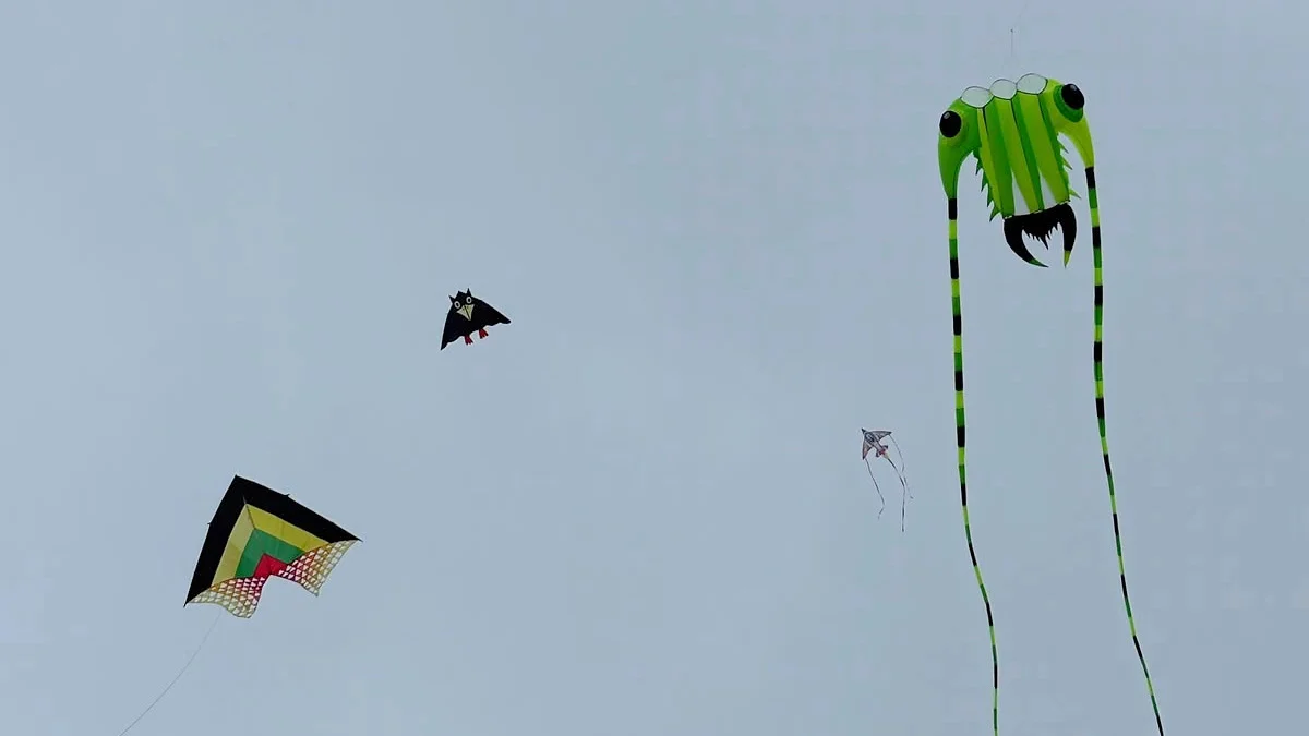 Bunte Drachen vor grauem Himmel